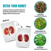DetoxKidney