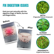 Fix Digestion Issues