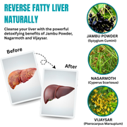 HelpsCleansingLiver-ReverseFattyLiver