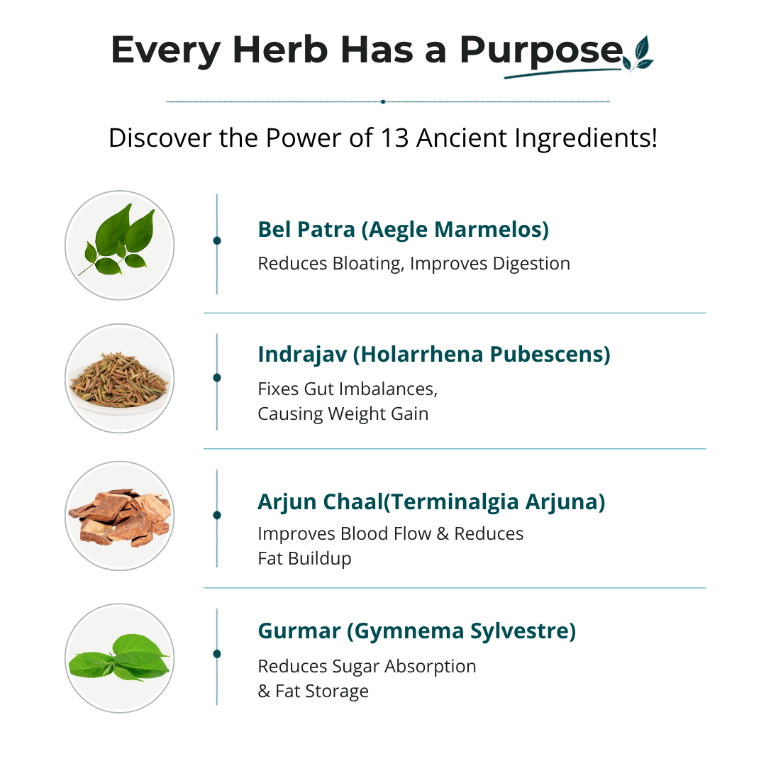 90-Day Full Body Metabolic Reset System