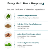 90-Day Full Body Metabolic Reset System