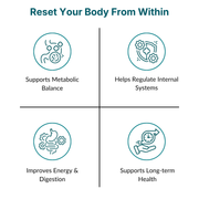 90-Day Full Body Metabolic Reset System
