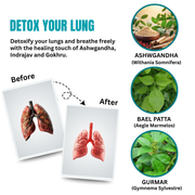 SupportsLungs-CleanseLungs